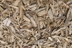 biomass boilers Veraby